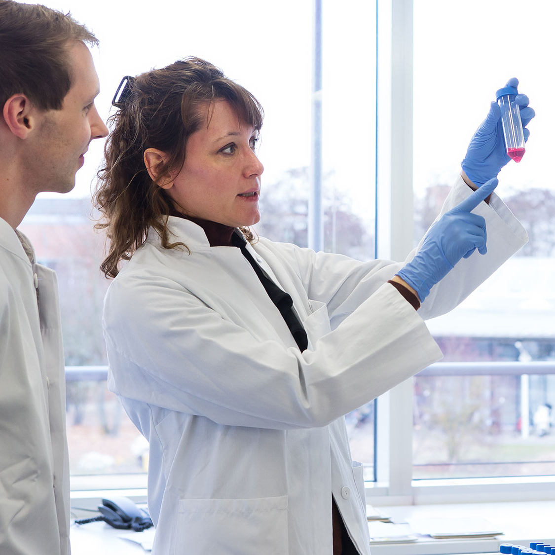 Translationale Krebsforschung